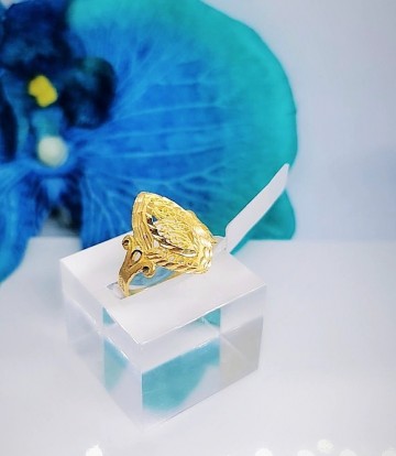 Img20230303153706622edit584811801487326