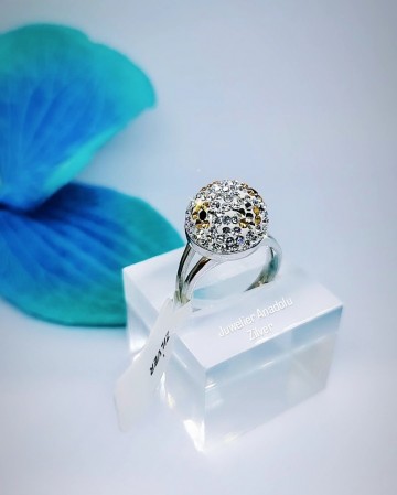 Img20230306115338955edit679744741258257