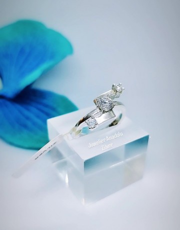 Img20230306115757603edit679765434426483