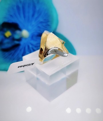 Img20230309135247243edit813861429055501