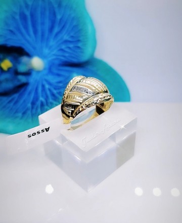 Img20230309141025296edit814044799629431