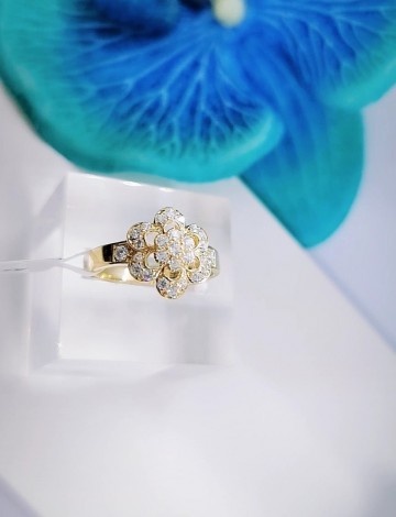 Img20230309144109207edit814157179251289