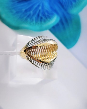 Img20230309145123399edit814244393815338