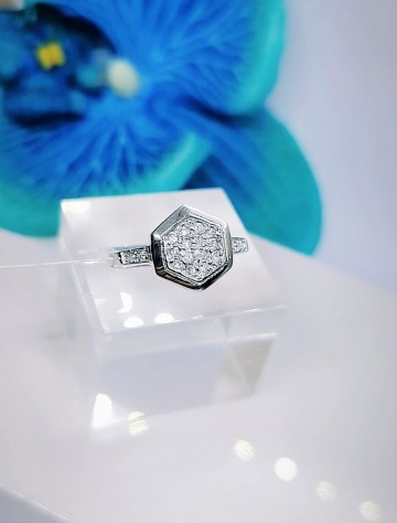 Img20230309145315824edit814257833837211