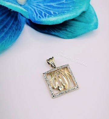 Img20230418172552538edit934012224588208