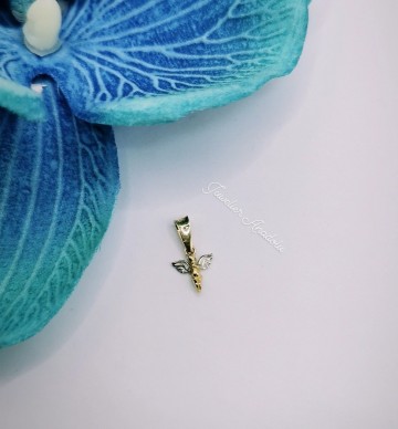 Img20230420163837593edit1002097143495527