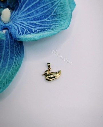 Img20230420164317245edit1002127561538231