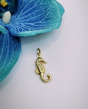 Img20230420164358332edit1002134423726772