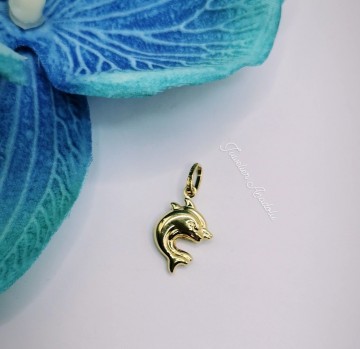 Img20230420164510358edit1002146702472603