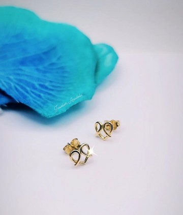 Img20230523155018904edit684506831028364