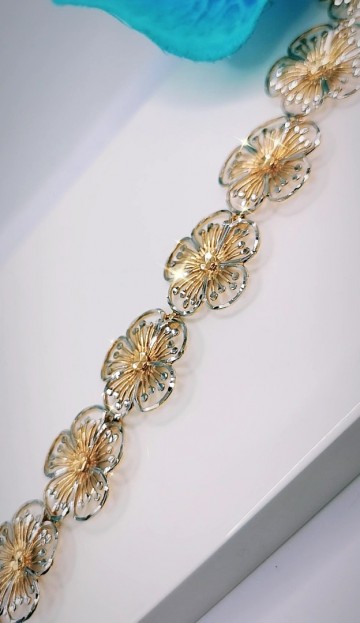 Img20230925163831379edit11168490973816