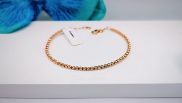 Img20230927142310699edit4649262706581