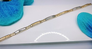 Img20231002162921086edit8422182479963