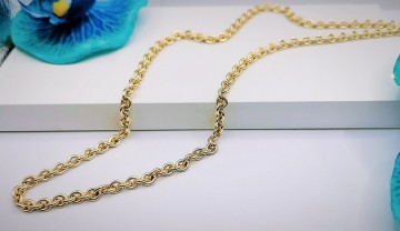 Img20231009163758687edit6768657772924