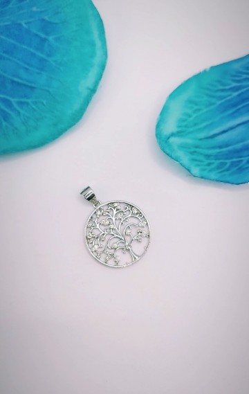 Img20231018131935041edit2569433897002