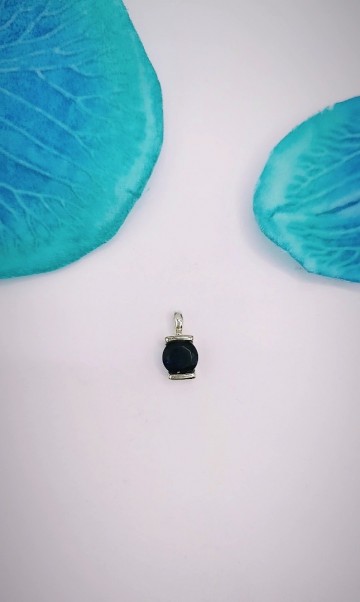 Img20231018154612097edit7917791583686