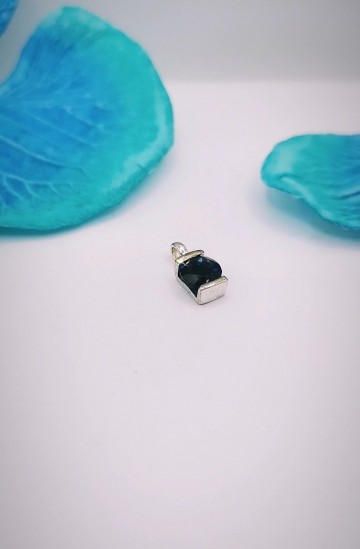 Img20231018154639111edit7926135743581