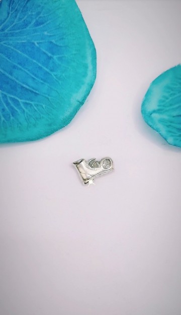 Img20231018164308694edit7956194235243