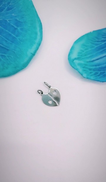 Img20231018165907865edit8910521506972