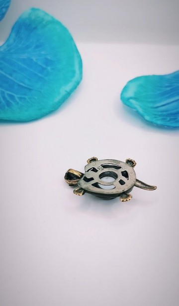 Img20231018173557098edit10758029591586