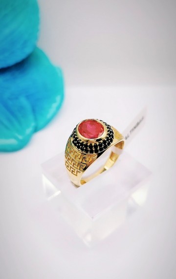 Img20231107153500296edit6251246031335