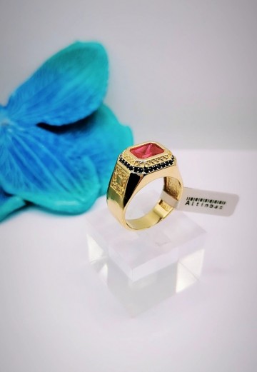 Img20231107153654443edit6256941319876