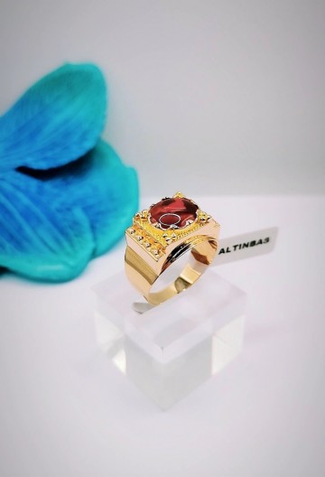 Img20231107154035596edit6283201417268