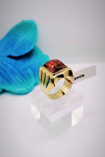 Img20231107154220996edit6294833093308