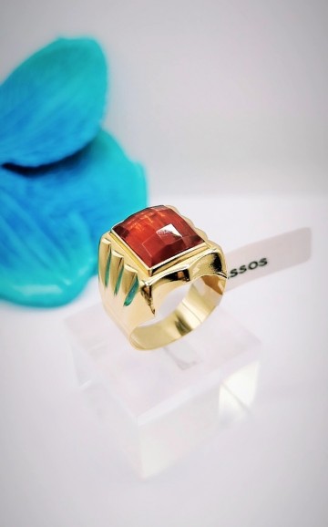 Img20231107154244191edit6300728913620