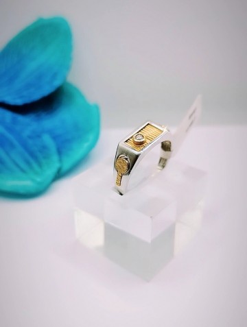 Img20231107173505659edit12084676422633