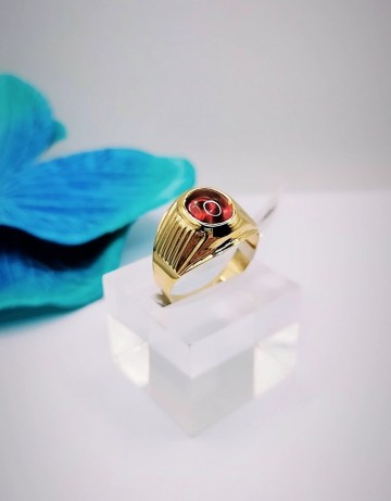 Img20231110134338666edit4799463479475