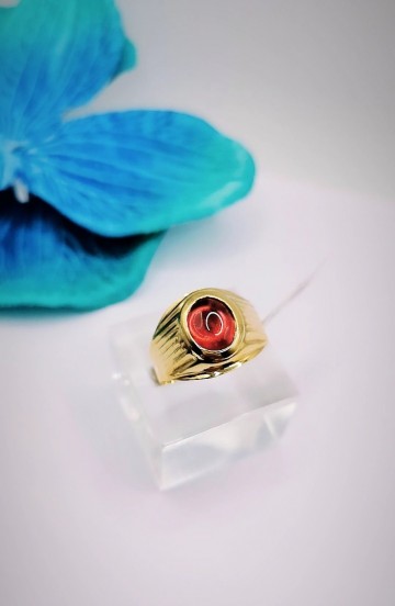 Img20231110134404660edit4803997769057