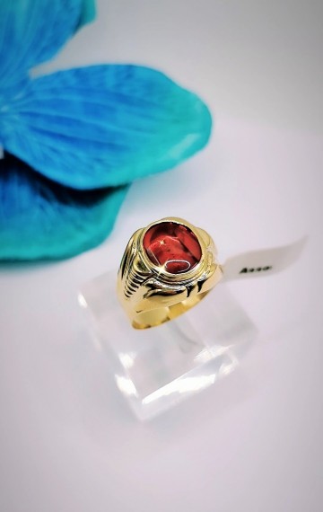 Img20231110134554280edit4814583853952