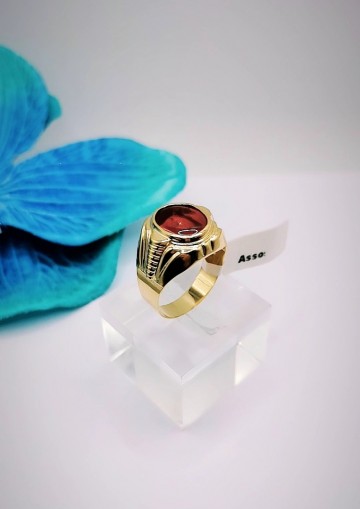 Img20231110164839811edit4819839775826