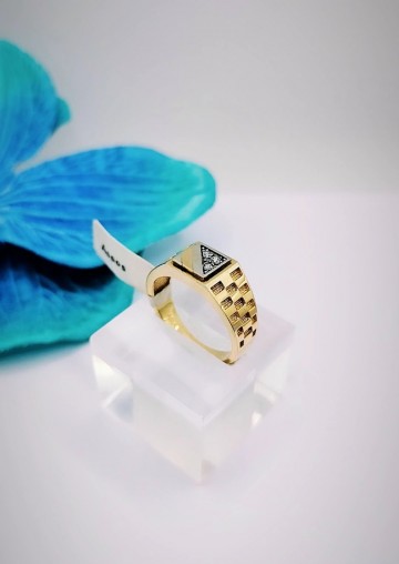 Img20231110165348151edit4859131423216