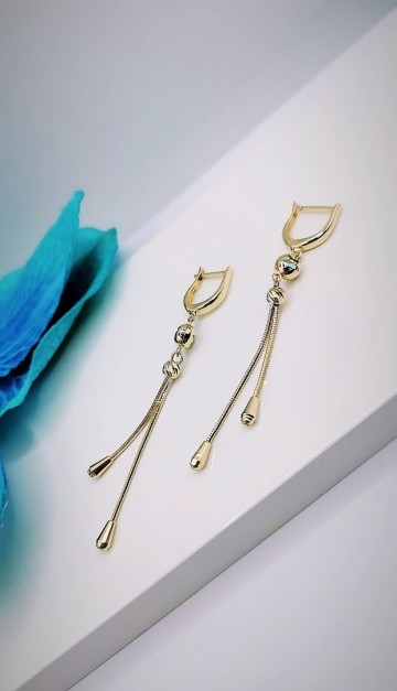 Img20240131153454931edit11586639137294