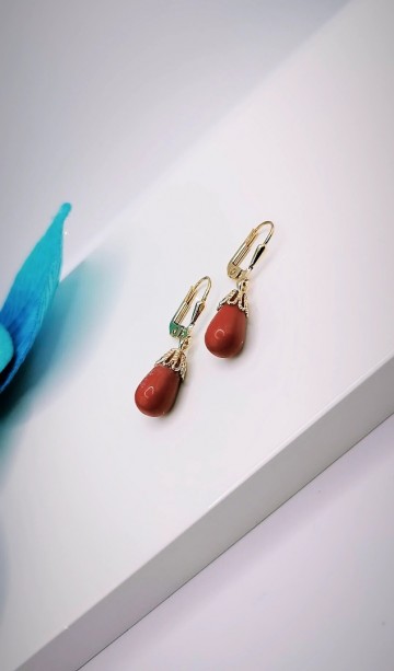 Img20240131173354807edit15019037354478