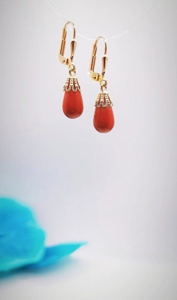 Img20240131173515178edit15035515737809