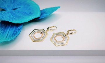 Img20240131175558648edit15112230531027