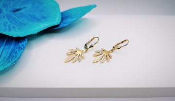 Img20240131180103174edit15132608538315