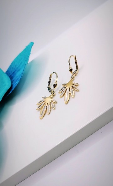 Img20240131180140205edit15136718475814