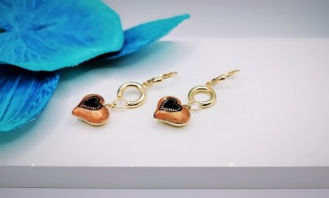 Img20240131181141484edit15183380596120