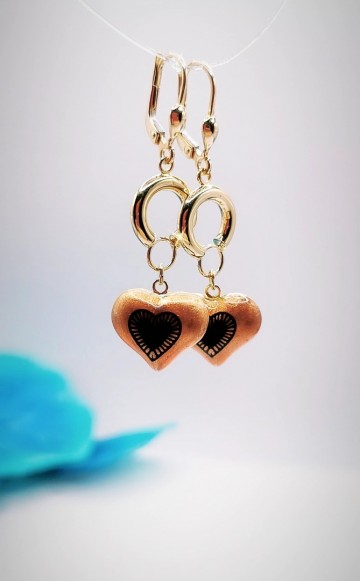 Img20240131181355877edit15197786875284