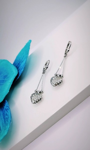 Img20240131181528154edit15218740644031