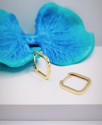 Img20240202161905565edit6249254400607