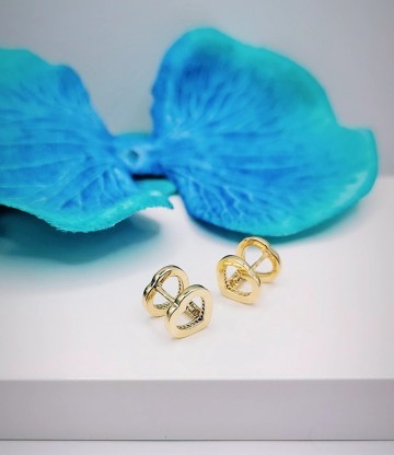 Img20240202173234545edit6119429760523