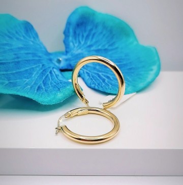 Img20240202184342726edit8354167096640