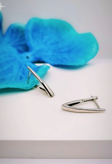 Img20240309135432833edit2752565328745