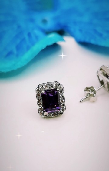 Img20240309142256259edit2894159462057