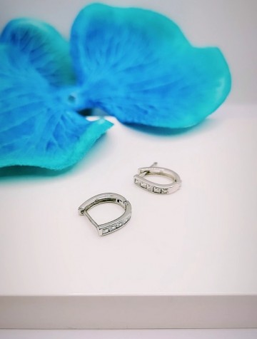 Img20240309145736008edit3088563034423